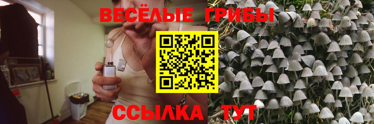 Астрахань  Псилоцибиновые грибы Magic Shrooms  Вход с VPN 